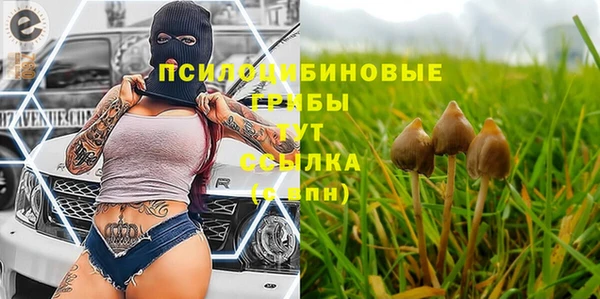 прущие крисы Заводоуковск