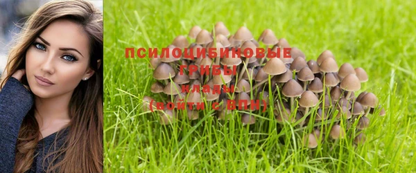 прущие крисы Заводоуковск
