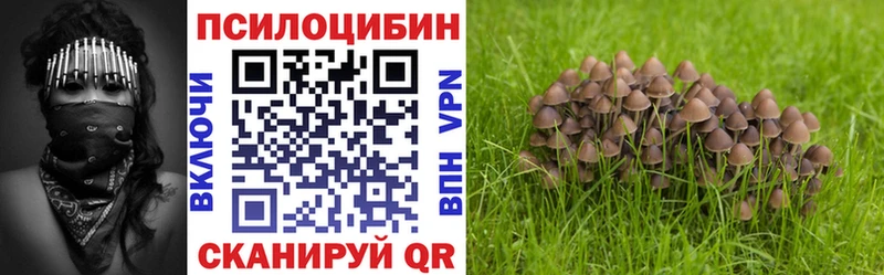 Купить где  Северская  Псилоцибиновые грибы прущие грибы 